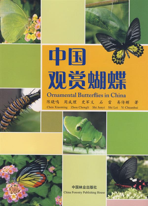 中国观赏蝴蝶