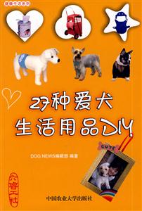7种爱犬生活用品DIY"