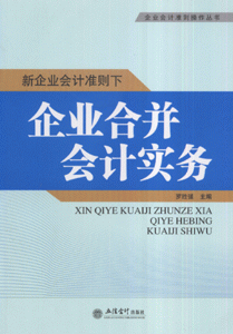 新企业会计准则下企业合并会计实务