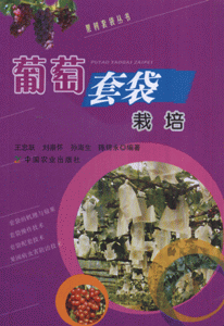 葡萄套袋栽培