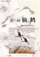 影.画 仙鹤