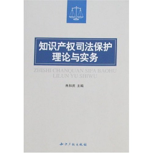 知识产权司法保护理论与实务