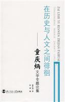 在历史与人文之间徘徊-童庆炳文学专题论集