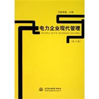 电力企业现代管理