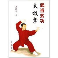 武当玄功太极掌