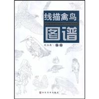 线描禽鸟图谱