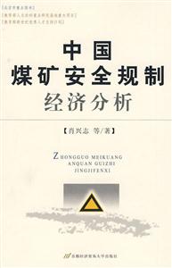 中国煤矿安全规制经济分析