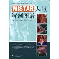 WISTAR大鼠解剖图谱