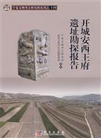 开城安西王府遗址勘探报告