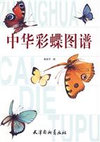中华彩蝶图谱