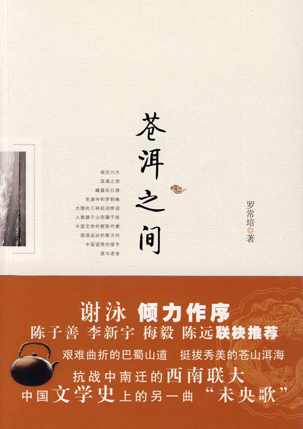 苍洱之间