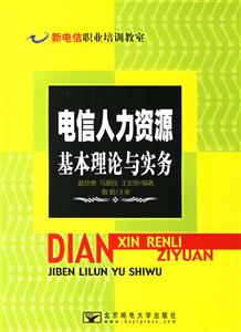 电信人力资源基本理伦与实务