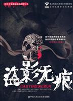 盗影无痕