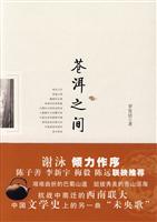 苍洱之间