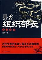 机关纵横-县委组织部长-2