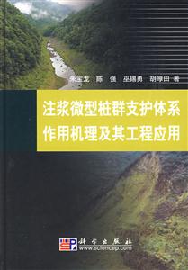 注浆微型桩群支护体系作用机理及其工程应用