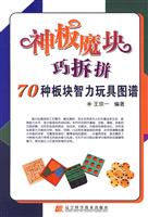 神板魔块巧拆拼-70种板块智力玩具图谱