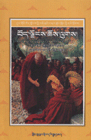 中国西藏基本情况丛书--西藏宗教