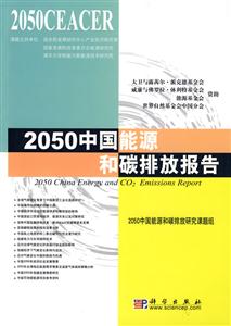 050-中国能源和碳排放报告"