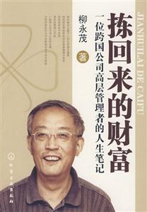 拣回来的财富-一位跨国公司高层管理者的人生笔记