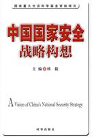 中国国家安全战略构想