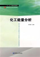 化工能量分析