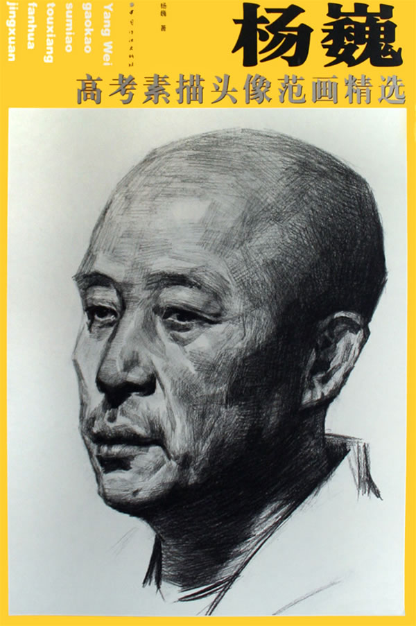 杨巍高考素描头像范画精选