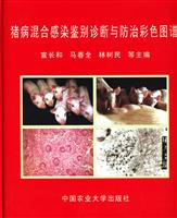 猪病混合感染鉴别诊断与防治彩色图谱