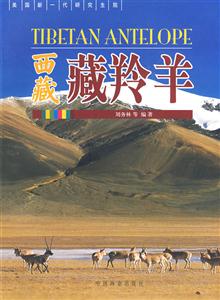 西藏藏羚羊