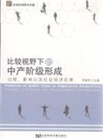 比较视野下的中产阶级形成-过程.影响以及社会经济后果