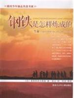 钢铁是怎样炼成的
