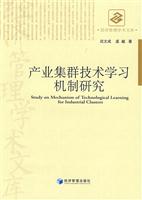 产业集群技术学习机制研究