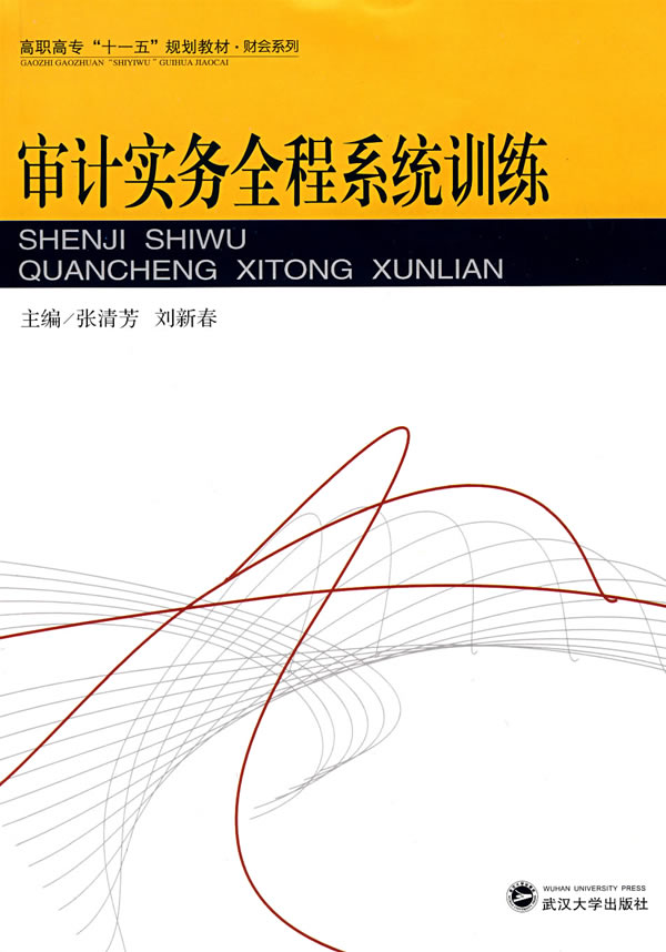 审计实务全程系统训练(高职高专十一五规划教材)/财会系列