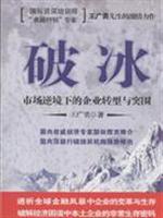 破冰－市场逆境下的企业转型与突围