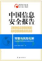 中国信息安全报告:预警与风险化解