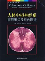 人体中枢神经系高清晰切片彩色图谱