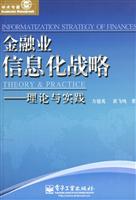 金融业信息化战略:理论与实践