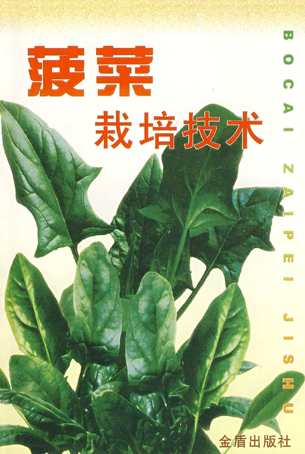 菠菜栽培技术