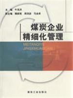 煤炭企业精细化管理