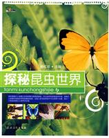 探秘昆虫世界
