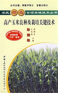 种植--高产玉米良种及栽培关键技术