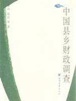 中国县乡财政调查