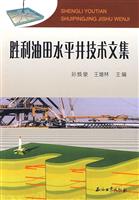 胜利油田水平井技术文集