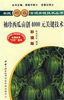 种植--袖珍西瓜亩创4000元关键技术