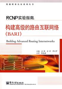 RCNP实验指南:构建高级的路由互连网络(BARI)