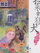 捡来的狼犬