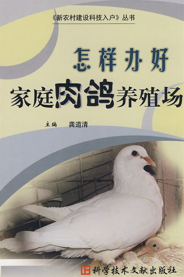 怎样办好家庭肉鸽养殖场
