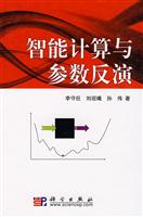 智能计算与参数反演