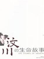 汶川的生命故事