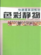 色彩静物-快速提高训练法